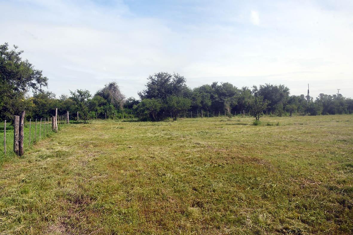 Terreno en Venta en Capilla de Los Remedios  - Imagen 2