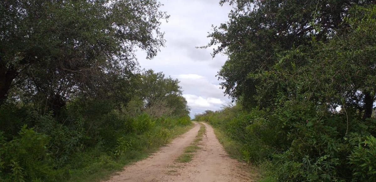  Terreno en venta Paraje EL Algarrobo Tulumba 0, Villa Tulumba, Córdoba