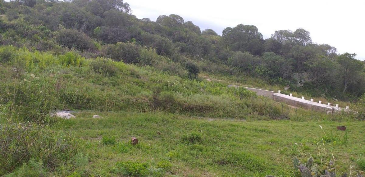  Terreno en venta Paraje EL Algarrobo Tulumba 0, Villa Tulumba, Córdoba - Imagen 4