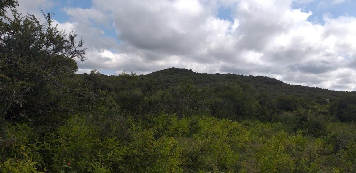  Terreno en venta Paraje EL Algarrobo Tulumba 0, Villa Tulumba, Córdoba - Imagen 5